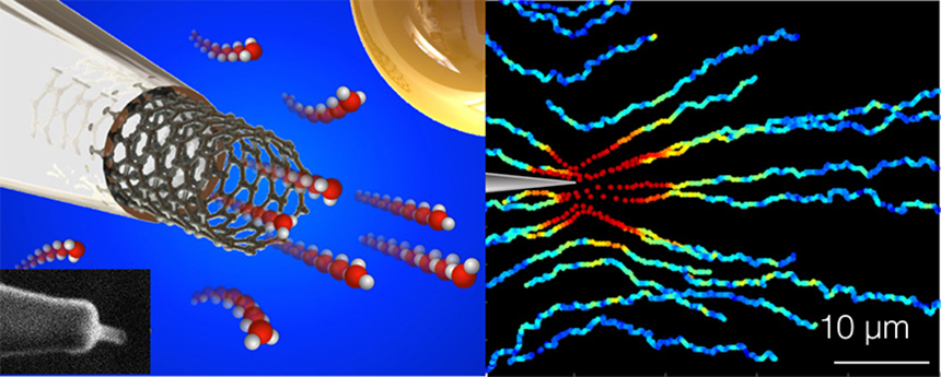 Water through a carbon nanotube. Illustration taken from the article "Massive radius-dependent flow slippage in carbon nanotubes"