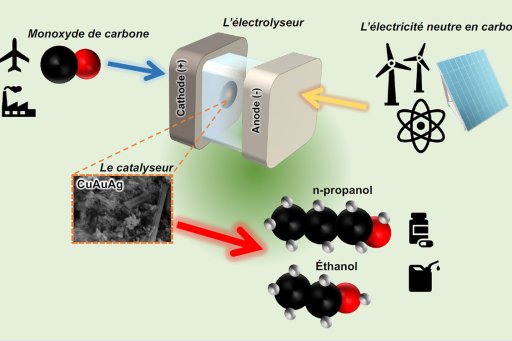 e-fuels and catalysts