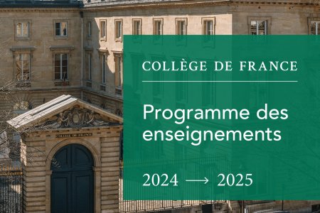 Programme des enseignements 2024-2025