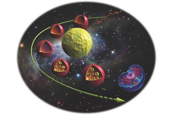 Représentation schématique du futur des polymères biomimétiques et biofonctionnels en nanomédecine et comme modèle de cellules artificielles